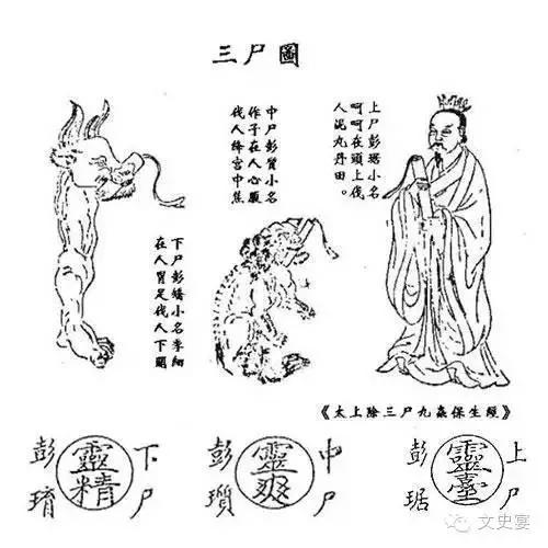 三尸脑神丹真实存在,三尸脑神丹和生死符哪个好