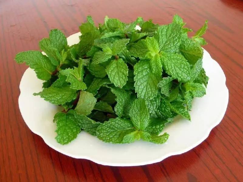 夏季感冒怎么办?