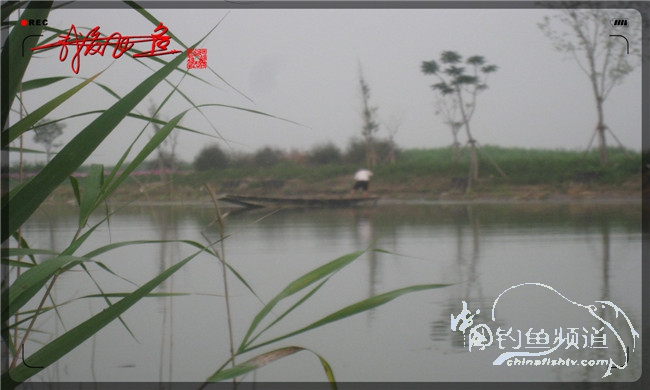 马踏湖国家湿地公园远足,马踏湖国家湿地公园游览路线