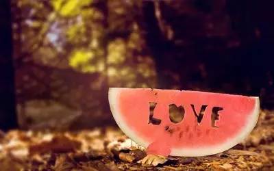 植物果实怎么分类,植物果实的分类