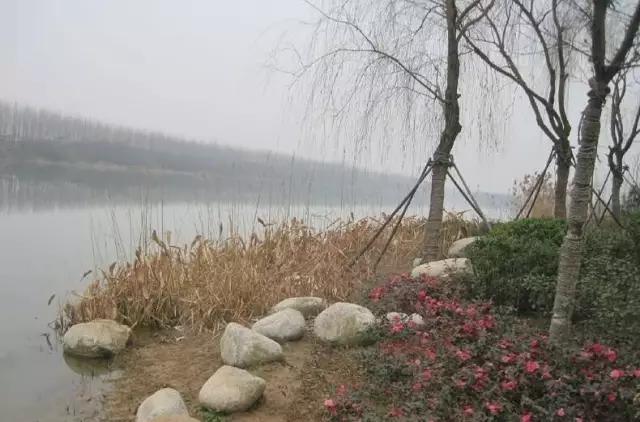 后湖十年前后的变化,武汉后湖这个区域咋样