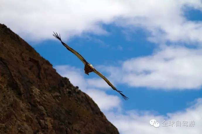 狼图腾草原旅游,大草原旅游攻略乌拉盖
