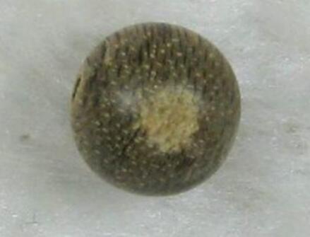 沉香珠子抛光的正确方法,沉香珠子怎么讲解