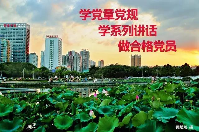 贵港医保查询,贵港市如何查询社保缴费情况