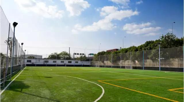 沈阳老城改造最新消息,昨天沈阳出大新闻了