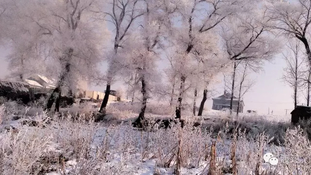 中医如何治抑郁症最有效,中医治疗抑郁症的实例