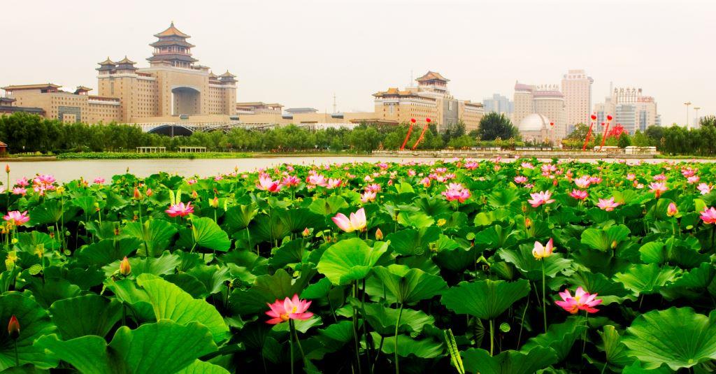 丰台暑假夏令营哪家好,今年暑假去哪儿玩