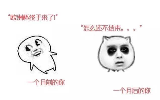 欧洲杯决战在即c罗做什么,欧洲杯决战c罗