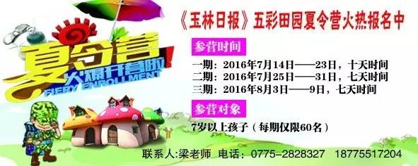 新闻下午茶玉林市四届人大常委会举行第四十八次会议审议并表决通过有关人事事项