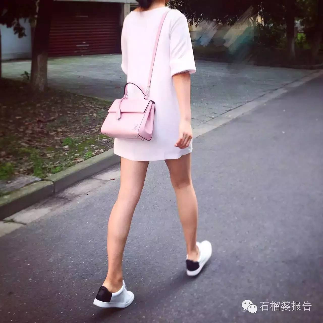 读者来稿栏目,读者来稿简短版