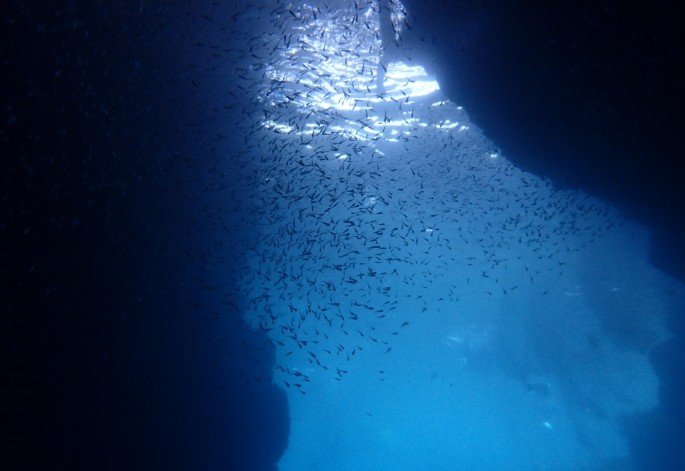 一个人的旅行东京,一个人的名古屋
