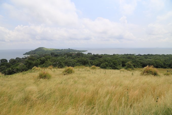 【非洲璀璨明珠】乌干达生活旅游指南