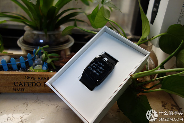 乐心智能手表,乐心手表watch怎么样