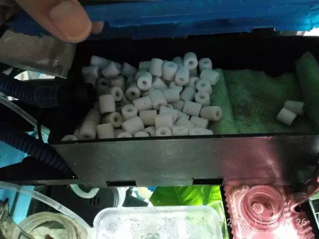 新手独白总结一下那些年我们犯过的错