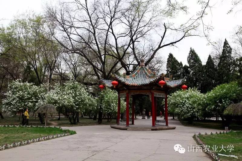 在山西农业大学有哪些学院呢？学院又是如何规划的呢?戳图文查看