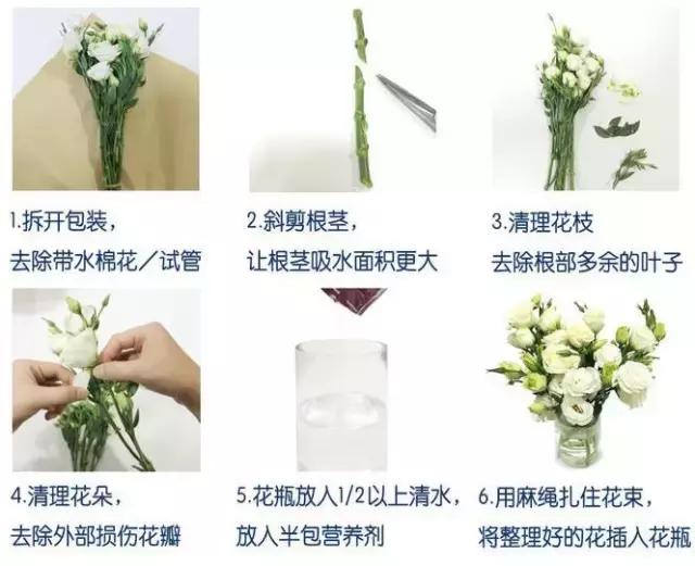 厦门鲜花每周一花,厦门每周一束鲜花订花平台