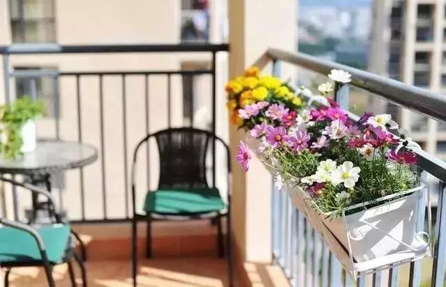 当你两鬓白发的时候,当你两鬓斑白的时候