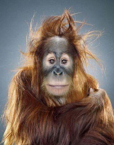 现在都还不知道?身边生物的寿命(饲养编)