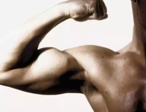 健身房一周训练计划女,健身房一周训练计划app