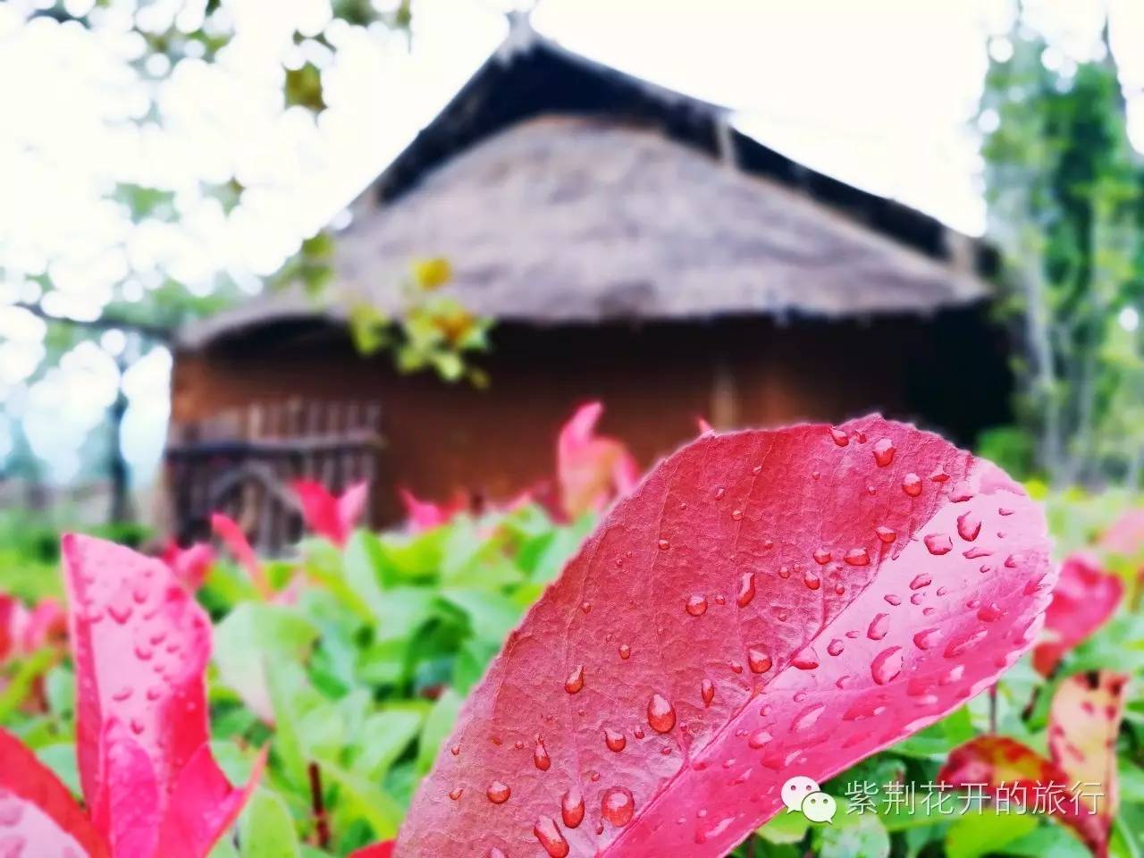 丽江飞越峡谷,丽江飞越