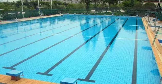 福州省体游泳馆价格一览表,福州最新游泳馆分布图