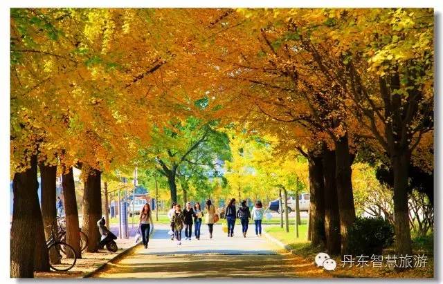 丹东城市,丹东居住最好的位置