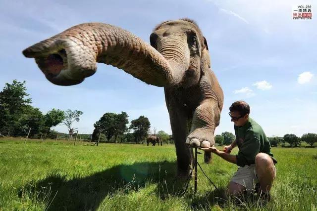 孩子喜欢的动物园,孩子喜欢的动物你绝对想不到
