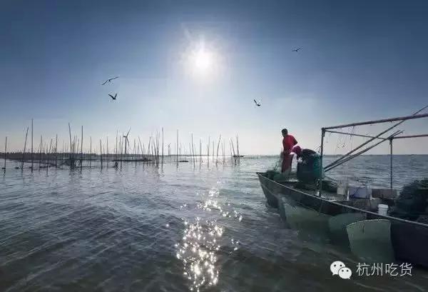 张嘉佳小龙虾,张嘉佳小龙虾微博