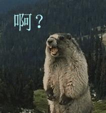 游戏厂商如何应对外挂,各游戏对外挂的处理