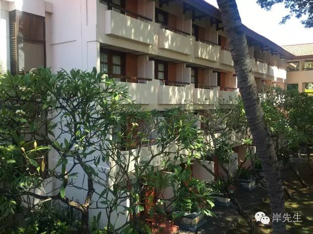 巴厘岛小众一日游,巴厘岛旅游攻略spa