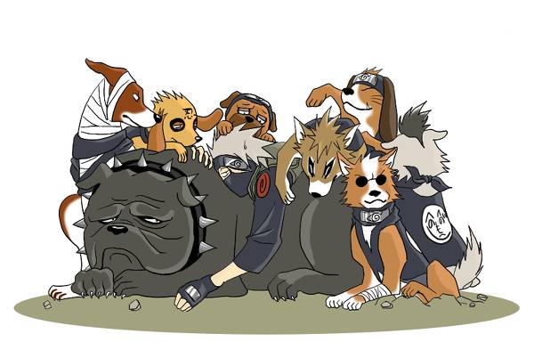 动漫召唤兽,通灵兽在动漫里是什么