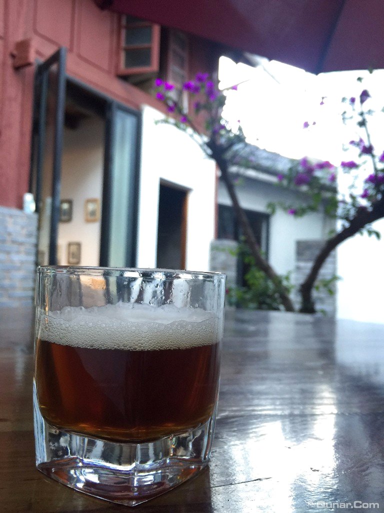 大理无花果好去处,大理路边大叶无花果