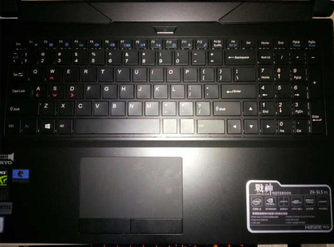 神舟酷睿11代i5独显笔记本,5000价位神舟独显笔记本