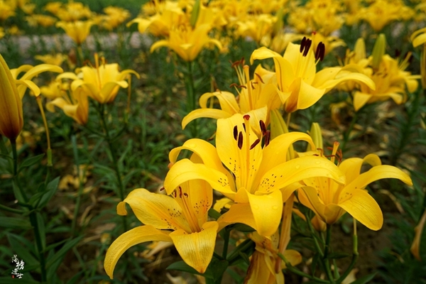 行走红石沟，入眼皆是画