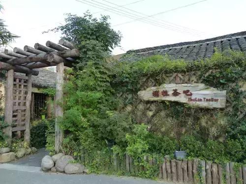 樟木为什么容易变形,樟木发展规划