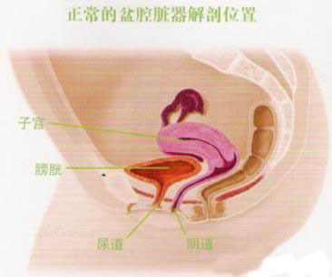 引起盆腔积液的原因,盘腔积液有哪些危害?