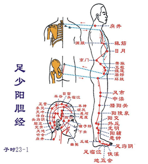 胆经淤堵后背疼,胆经淤堵引起头胀