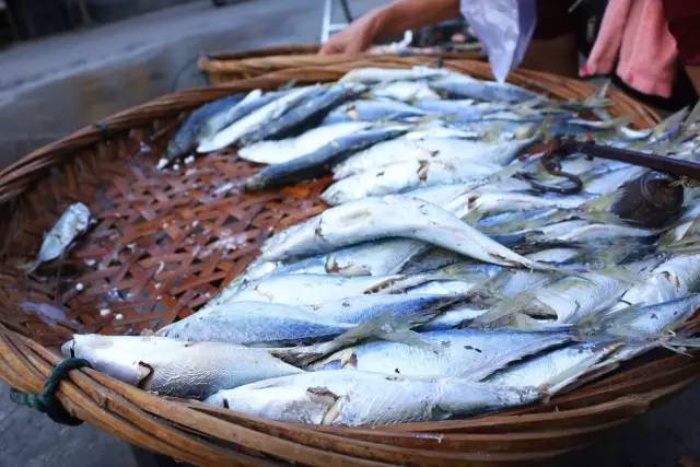 泉州一条老街一段故事,泉州老街巷的传说