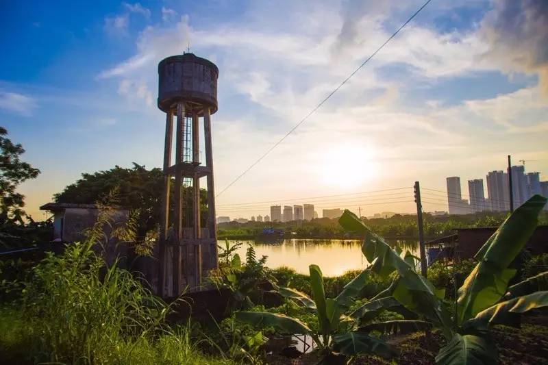 顺德农庄美食推荐,顺德有哪些好吃的山上农庄
