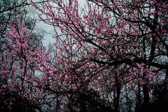 信阳避暑一个月,热吗来珠海避暑