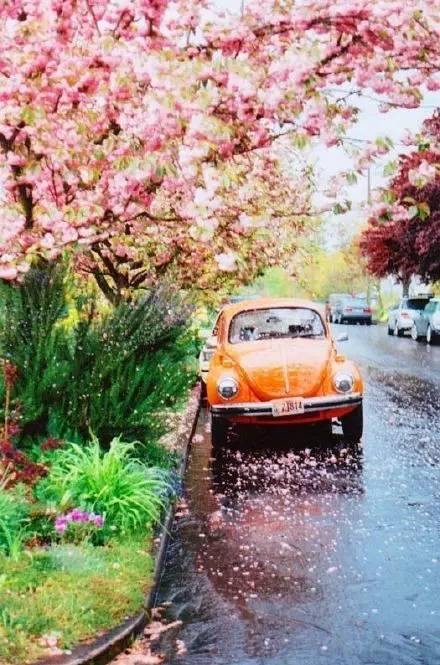 用什么方法分手,用什么办法分手不伤人