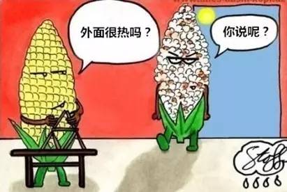 台风过后的福鼎,福鼎台风预报