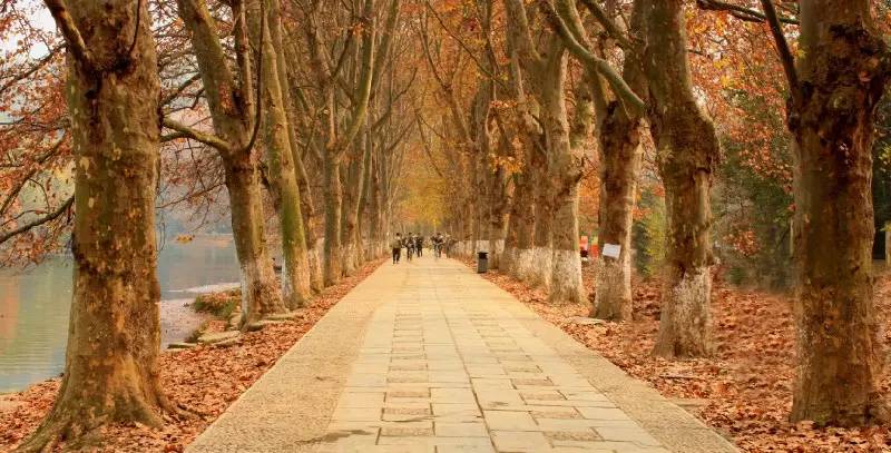 贵州出发云南自驾旅游攻略,自驾重庆到贵州旅游攻略