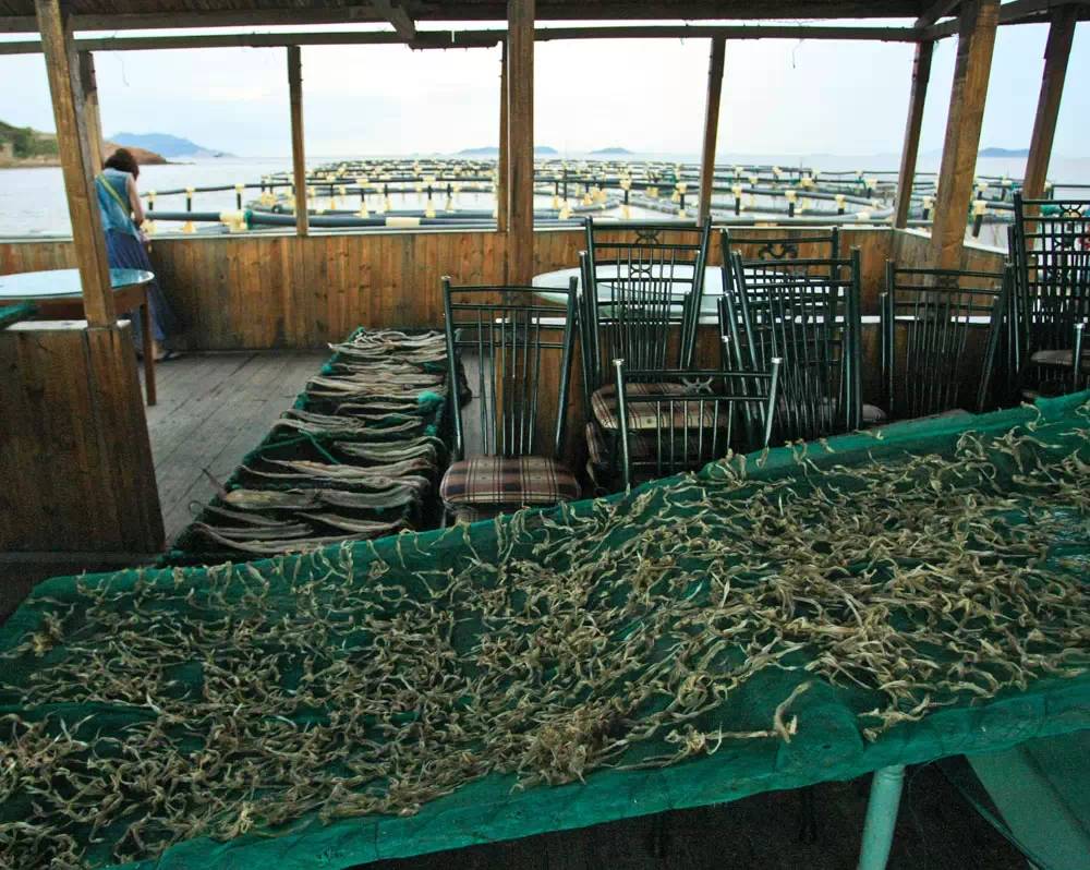 舟山自驾游5天攻略大全图,舟山群岛自驾攻略最佳线路