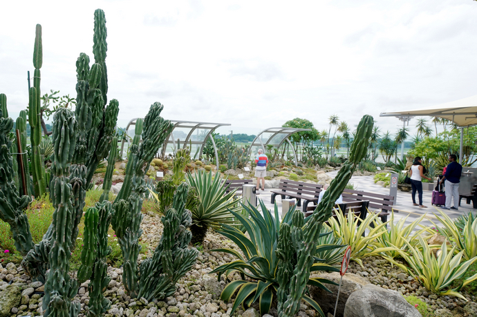 新加坡樟宜机场百万富翁,你和百万富翁的距离