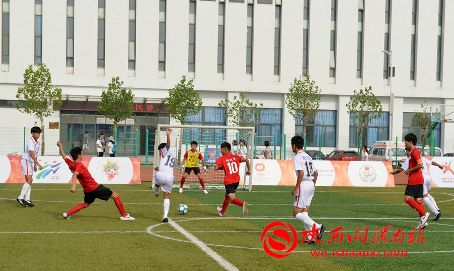 2023未来之星阳光体育大会,2017未来之星夏季阳光体育活动