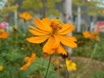 魅族mx6深度评测,魅族mx6曝光图