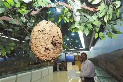 五一可以带孩子去银川吗,银川真的适合带孩子去吗