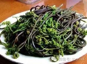 塞罕坝周末游,塞罕坝避暑攻略