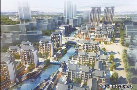 温网今天最新消息,温网最新资讯